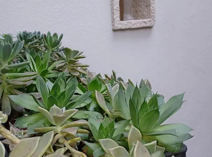 Monnalisa House Apartmán Malcesine